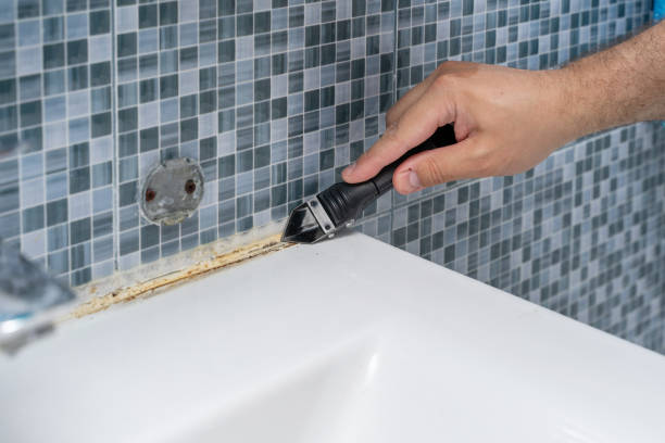 Best Professional Mold Removal  in Creedmoor, NC